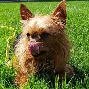 Meet your Posher, Russell